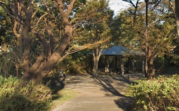 ホーユウヒルサイドテラス上星川(仏向行坐谷公園)