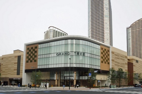 川崎市中原区今井南町の中古一戸建て(グランツリー武蔵小杉)