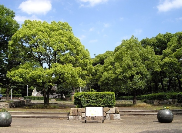 川崎市中原区今井南町の中古一戸建て(川崎市中原平和公園)