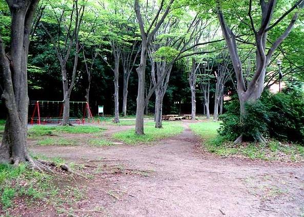 若葉台団地1の11号棟(日向根公園)