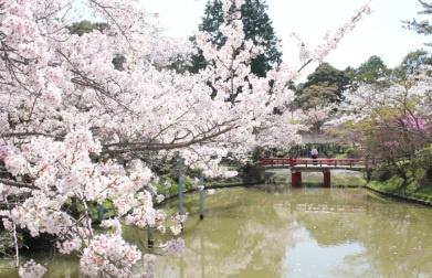 津市鳥居町の土地(津偕楽公園)