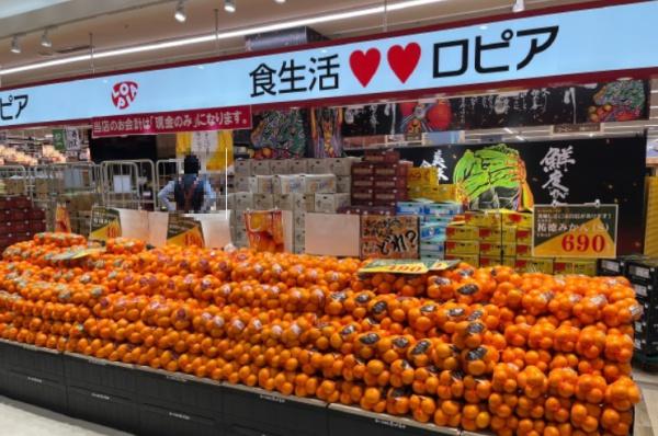 常盤台・新築戸建 2号棟(ロピア横浜羽沢店)