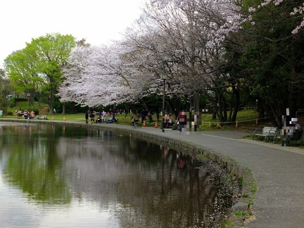 仲町台パークヒルズ7号棟(せせらぎ公園)