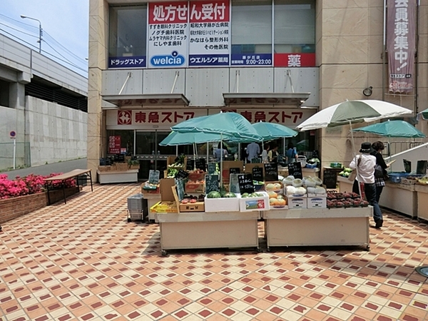 グリーンコート藤が丘イクシーズ(藤が丘東急ストア)