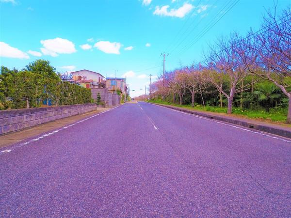 山武郡横芝光町木戸の土地