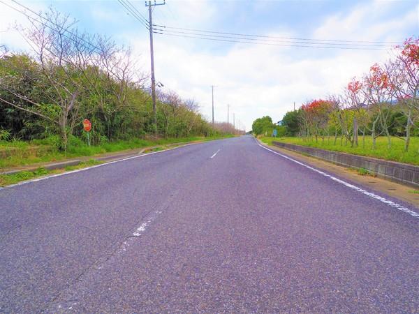 山武郡横芝光町木戸の土地