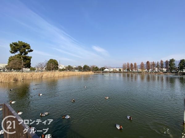 門真市岸和田2丁目 新築一戸建て 第6 11号棟(弁天池公園)