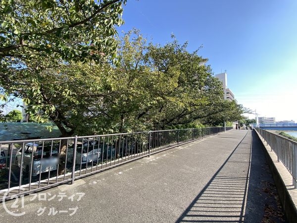 オリーブハイツ相川　１号棟　中古マンション