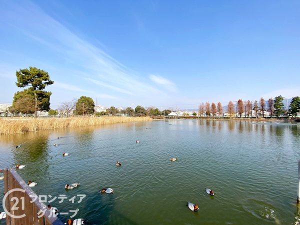 四條畷市二丁通町　新築一戸建て　１期　１号棟(弁天池公園)