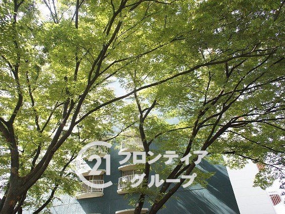 淀川パークハウス６号棟　中古マンション