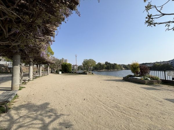 西宮市仁川町6丁目 新築一戸建て 全1区画(弁天池公園)