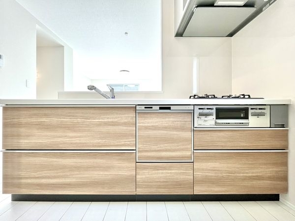 尼崎市南清水　新築一戸建て　全１区画