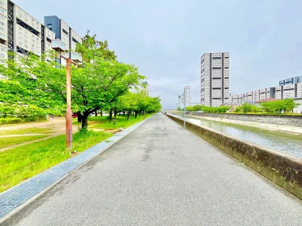 芦屋浜第２住宅第６－２号棟　中古マンション