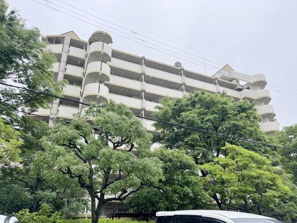 武庫川第２一番街１０号棟　中古マンション