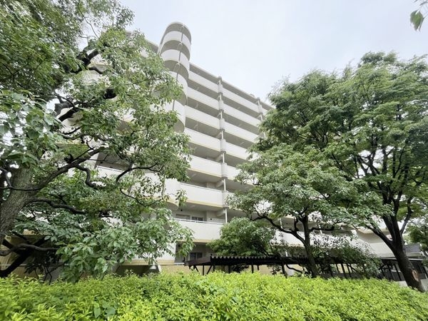 武庫川第２一番街１０号棟　中古マンション