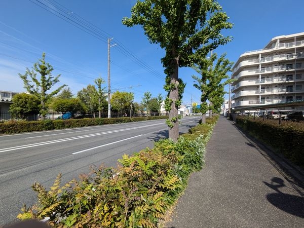 南塚口パークマンションＡ棟　中古マンション