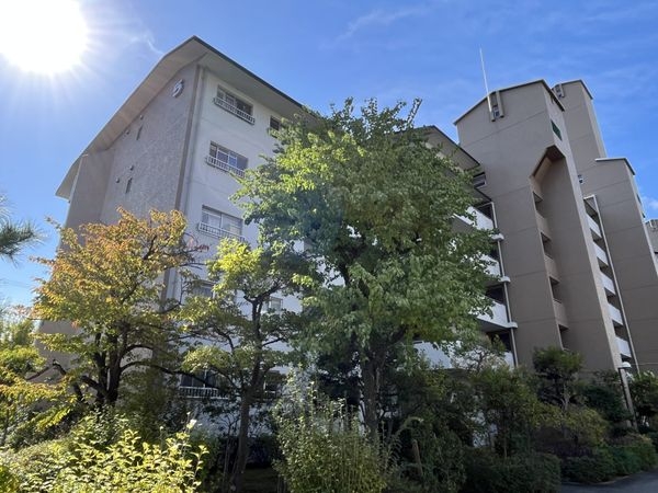 芦屋緑2住宅5号棟 中古マンション(その他現地)