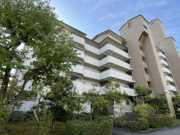 芦屋緑2住宅5号棟 中古マンション(その他現地)