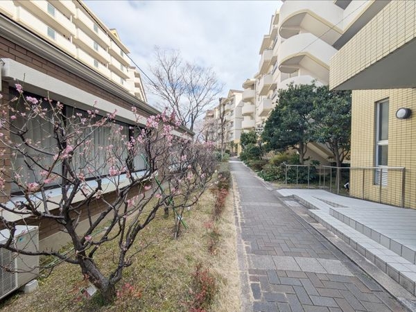 武庫川第２三番街８号棟　中古マンション