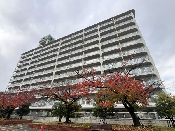 西宮グリーンマンション１号棟　中古マンション
