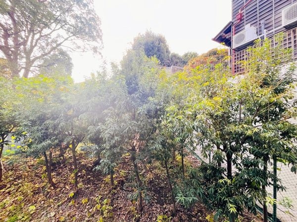 アズシス夙川　中古マンション