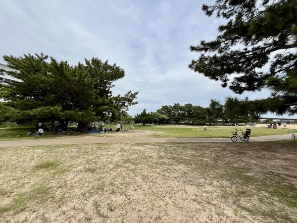 FrontierGardens　西宮市泉町　新築一戸建て…(御前浜公園)