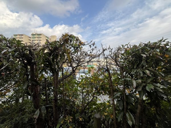 ダイアパレス宝塚クオリテージ２　中古マンション