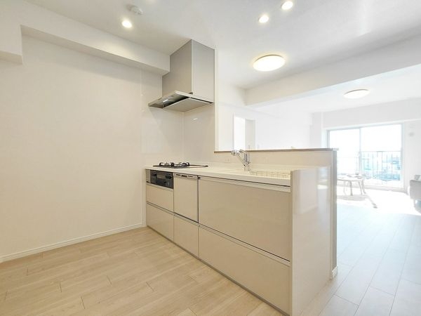 パレス南塚口壱号棟　中古マンション