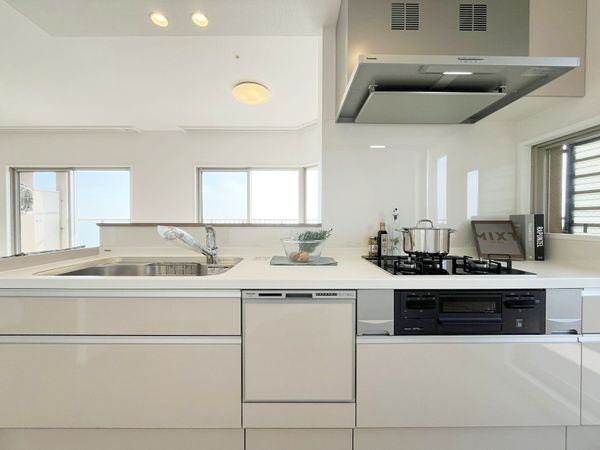 ルネヒューマンズガーデンパラディオＢ棟　中古マンション