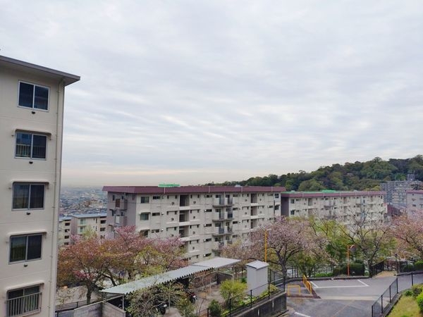 中山五月台住宅15号棟　中古マンション