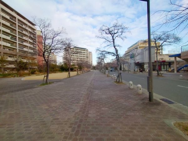 西宮マリナパークシティ・桜のまち５番館　中古マンション
