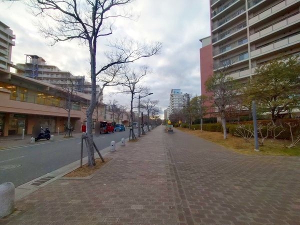 西宮マリナパークシティ・桜のまち５番館　中古マンション
