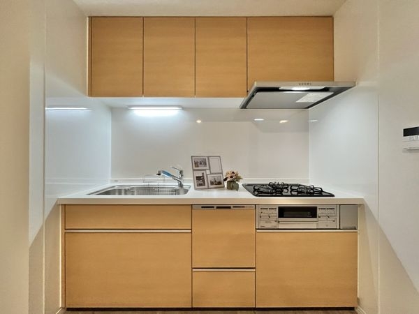 日商岩井香枦園マンション２号棟　中古マンション