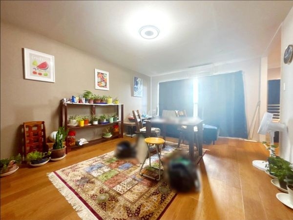 芦屋浜第一住宅第９－１住棟　中古マンション
