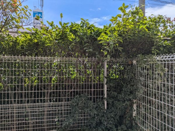ジェネラス西宮　中古マンション