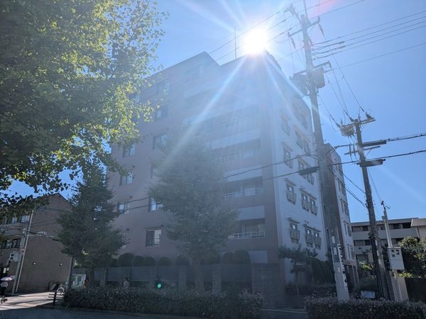 アムール芦屋　中古マンション