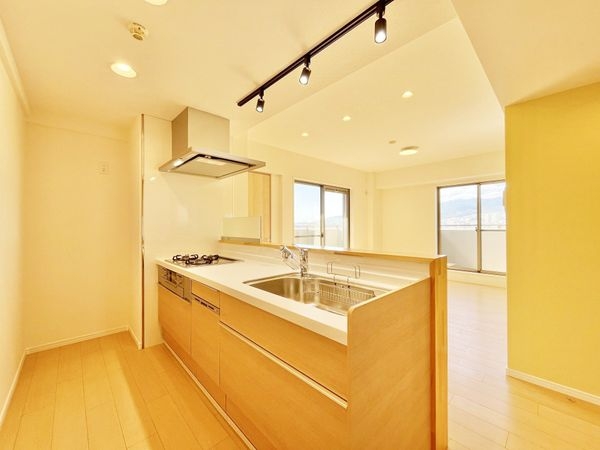 ワコーレルシード仁川　中古マンション