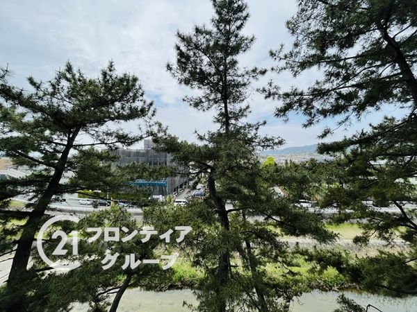 パラツィーナセシリア仁川弐番館　中古マンション