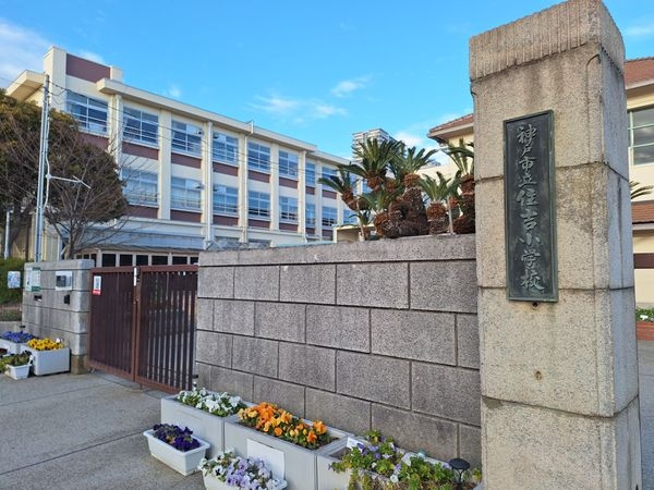 御影野村ハイツＦ棟　中古マンション(神戸市立住吉中学校)