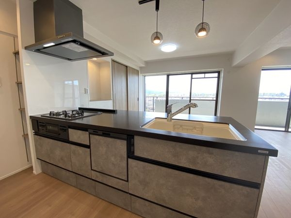 ライオンズマンション桃山南口　中古マンション