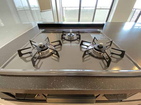 ライオンズマンション桃山南口 中古マンション(その他設備)