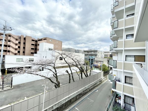 ルミエール藤ノ森　中古マンション