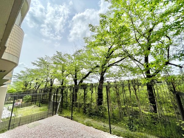 ディオ・フェルティ丹波橋右芳館　中古マンション