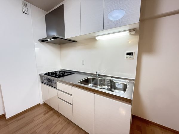 ハイム伏見Ａ棟　中古マンション