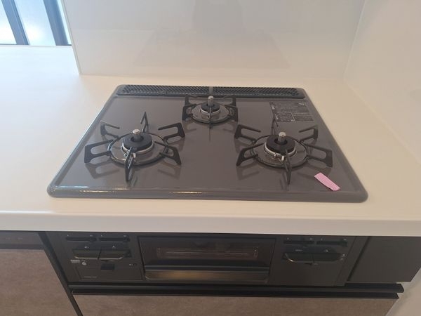 パデシオン桃山南　中古マンション