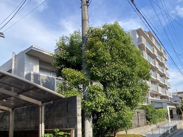 ペルル伏見桃山　中古マンション
