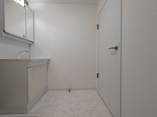 シャルマンコーポ草津 中古マンション(洗面台・洗面所)