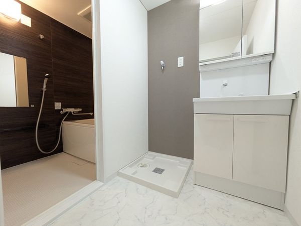 シャルマンコーポ草津 中古マンション(洗面台・洗面所)