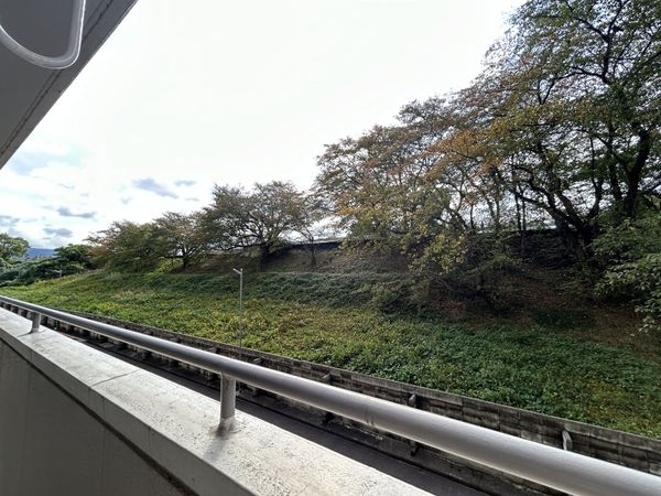 シャルマンコーポ草津　中古マンション