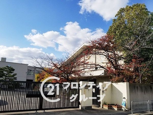 京都市伏見区桃山南大島町　新築一戸建て(京都市立桃山南小学校)